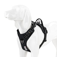 TRUE LOVE Pet Harness No Pull Nylon Reflective Dog Harness Adjustable Comfortable Control Step-in Brilliant Truelove TLH5654 Quick Pick Grocers