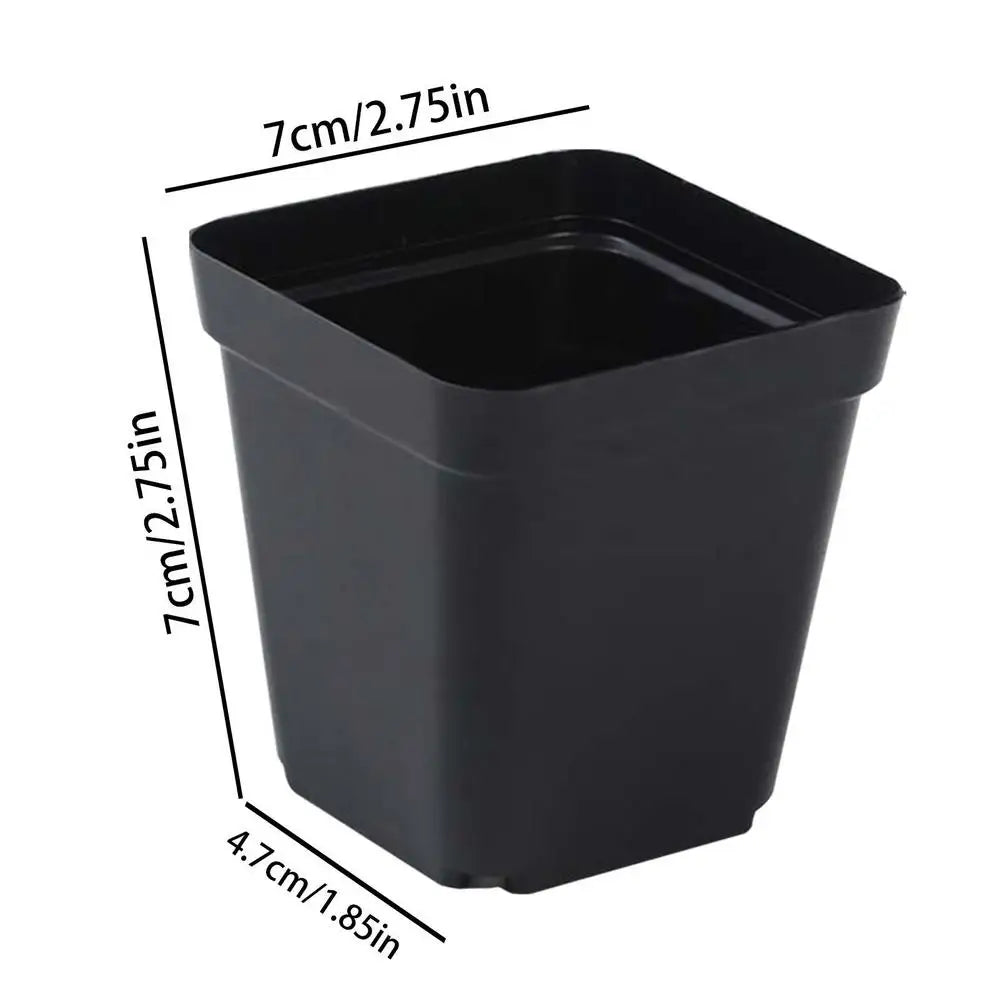 Seedling Pots 50Pcs Square Plant Seeding- Planting Cup Plastic Deep Nursery Tree Pot Flower Plant Container Pot Garden Grow Quick Pick Grocers