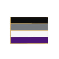 Asexual Gay Lesbian Enamel Brooches LGBT Pride Non-binary Trans Backpack Badge Rainbow Rectangle Lapel Pin Jewelry Friends Gifts Quick Pick Grocers