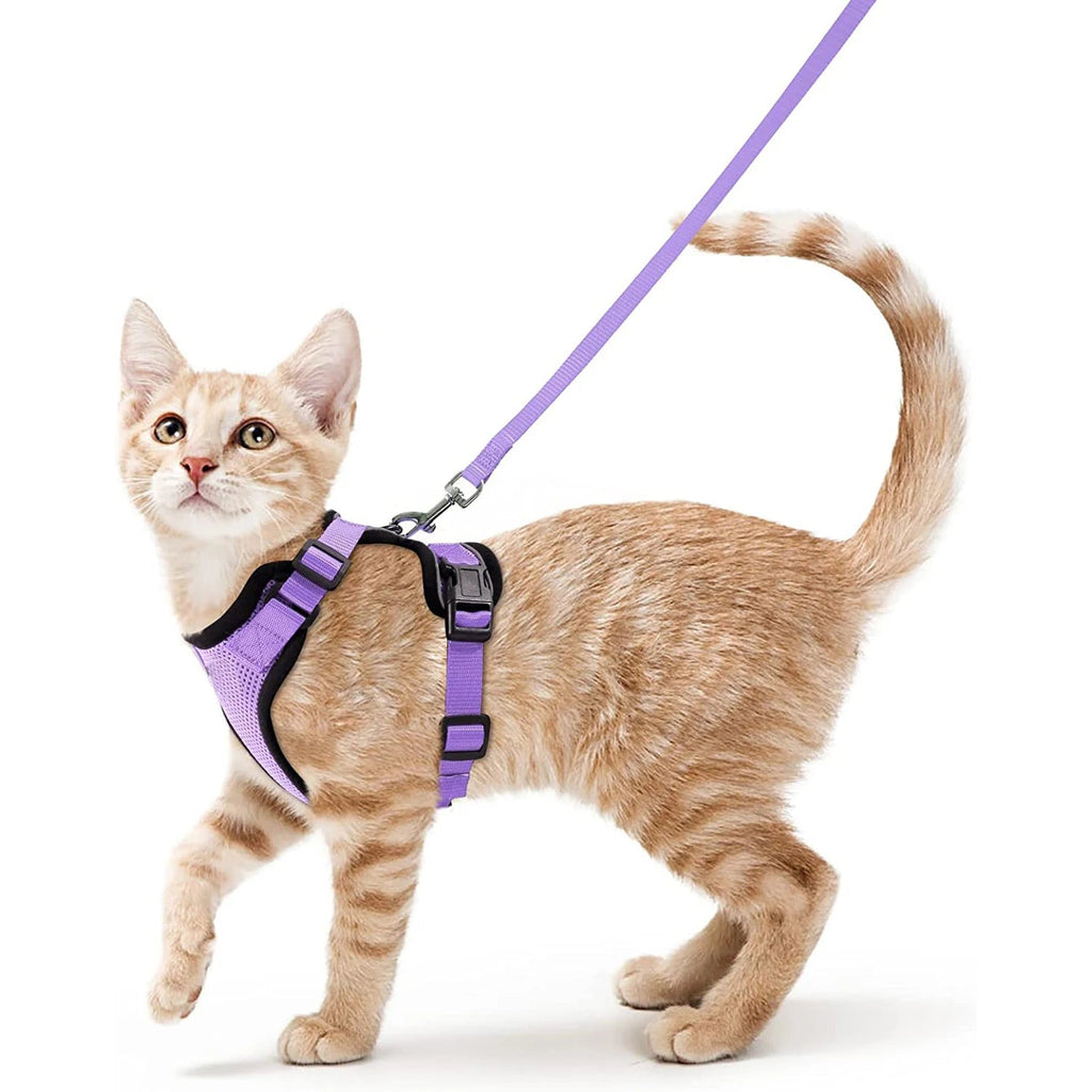 Cat Harness and Leash for Walking, Escape Proof Soft Adjustable Vest Harnesses for Cats, EasyControl Econic Blanks