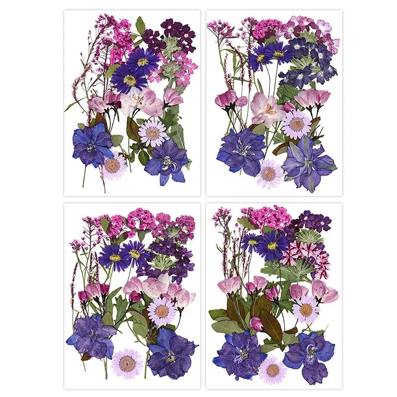For Fun DIY Embossed Dried Flower Resin Fillings Real Flower for Home Decoration Nail Art Handicrafts Jewelry Making Crafts Econic Blanks