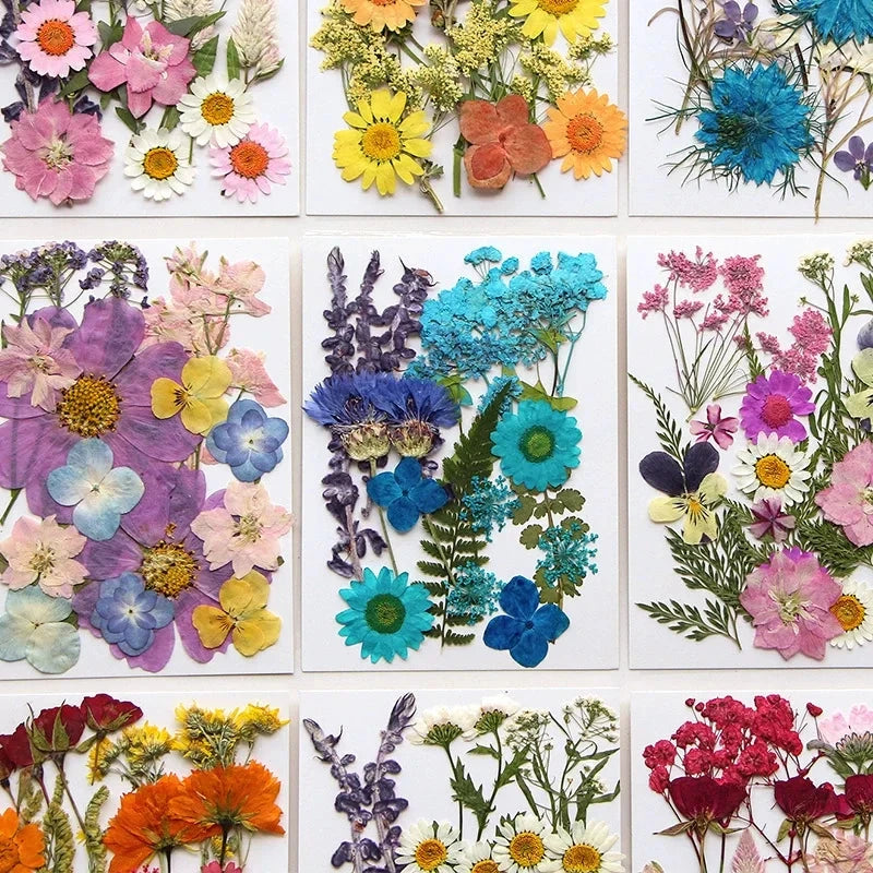 For Fun DIY Embossed Dried Flower Resin Fillings Real Flower for Home Decoration Nail Art Handicrafts Jewelry Making Crafts Econic Blanks