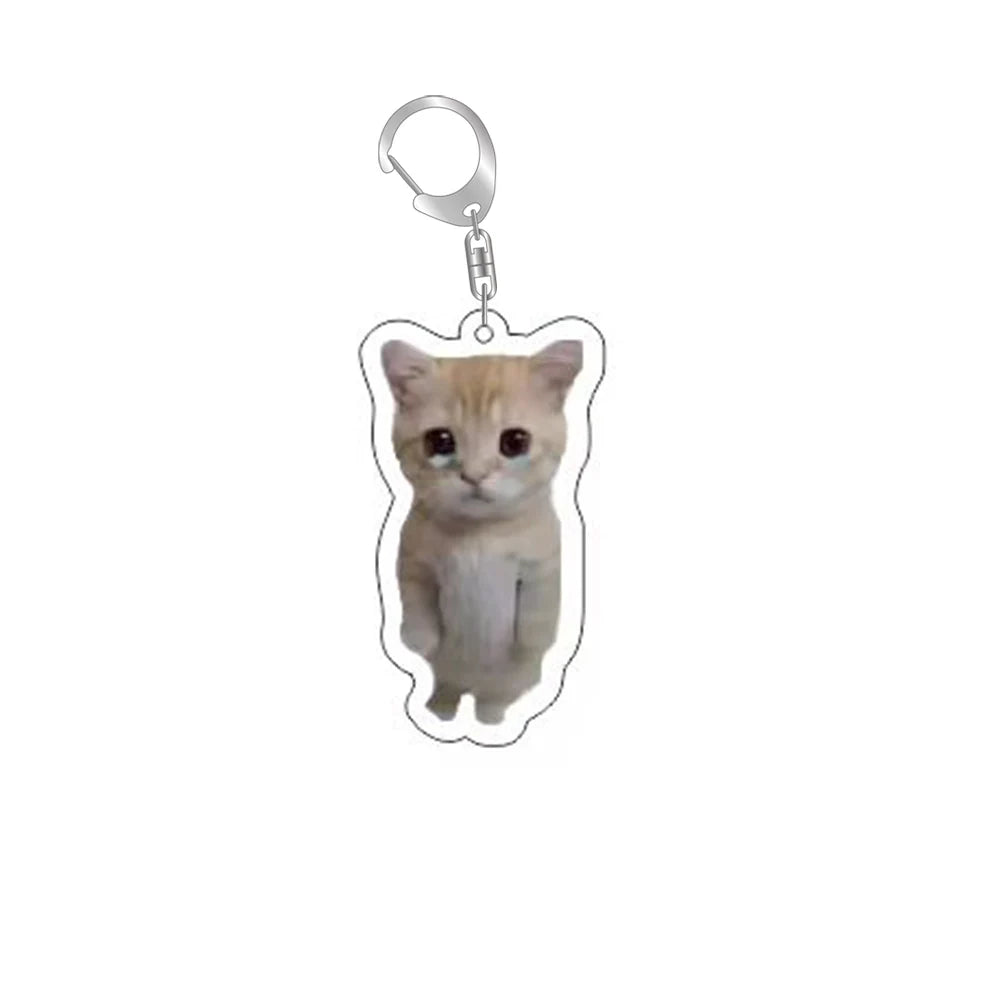 Funny Cat Memes Series Keychain Student Gift Bag Lanyard  Women's Bag Pendant Keychain Cute Things Cheap Gift For Best Friends Econic Blanks