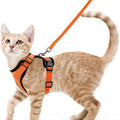 Cat Harness and Leash for Walking, Escape Proof Soft Adjustable Vest Harnesses for Cats, EasyControl Econic Blanks