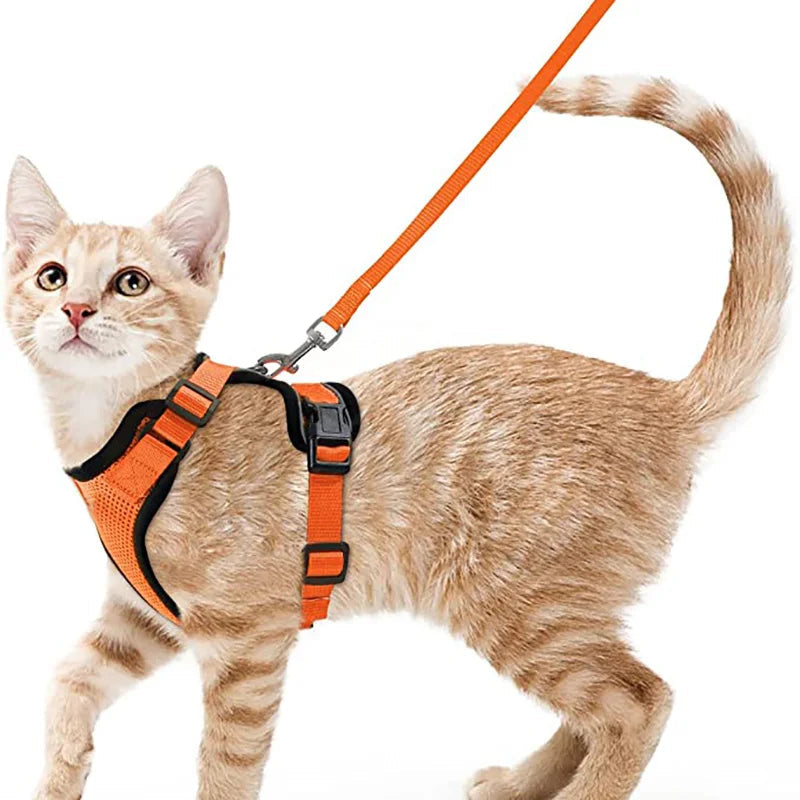 Cat Harness and Leash for Walking, Escape Proof Soft Adjustable Vest Harnesses for Cats, EasyControl Econic Blanks