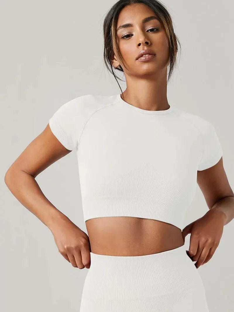Women Yoga Top Seamless Sport T Shirts Fitness Clothes Short Sleeve Yoga Shirt Gym Top Running Active Wear Sport Top Quick Pick Grocers
