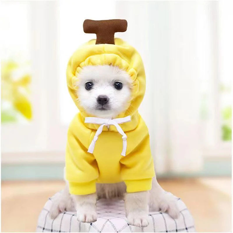 Cute Dog Hoodie Pet Fruit Clothes Funny Dog Cat Coats with Hat Halloween Cosplay Costume Dogs Hooded Sweatshirt for Puppies Cat Econic Blanks