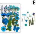 For Fun DIY Embossed Dried Flower Resin Fillings Real Flower for Home Decoration Nail Art Handicrafts Jewelry Making Crafts Econic Blanks