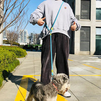 Reflective Nylon Leashes Pet Dogs Chain Traction Rope Leads for Running Dog Walking Free Hands Rope Chain for Small Large Dogs Quick Pick Grocers