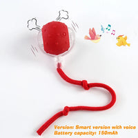 New Dog Interactive Ball Toy,Automatic Rolling Dog Ball Rechargeable,Smart Puppy Interactive Toy,Intelligent Balls Toy for Dogs Quick Pick Grocers