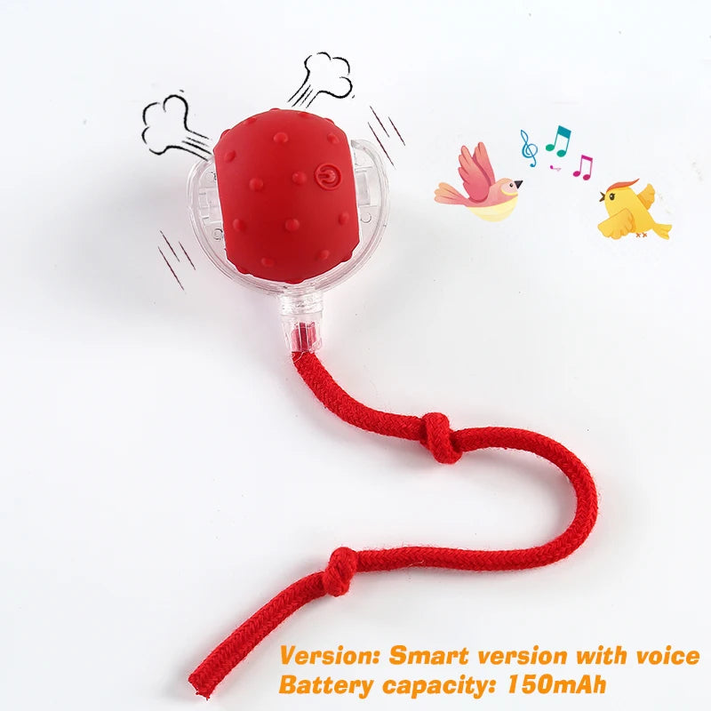 New Dog Interactive Ball Toy,Automatic Rolling Dog Ball Rechargeable,Smart Puppy Interactive Toy,Intelligent Balls Toy for Dogs Quick Pick Grocers