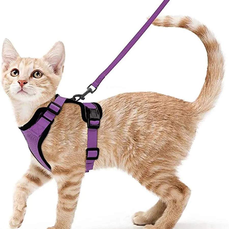 Cat Harness and Leash for Walking, Escape Proof Soft Adjustable Vest Harnesses for Cats, EasyControl Econic Blanks