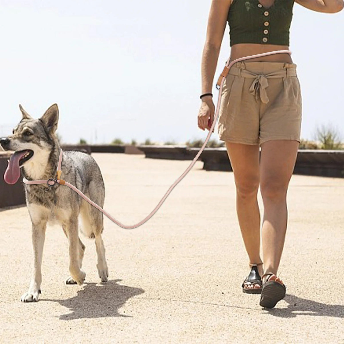 Multi-functional Adjustable P-Shape Dog Leash Chain Traction Rope Leads for Running Walking Free Hands Free Leashes Quick Pick Grocers