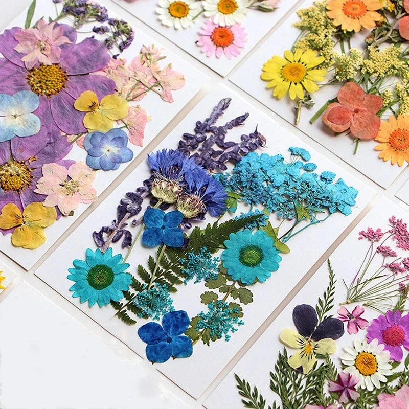 For Fun DIY Embossed Dried Flower Resin Fillings Real Flower for Home Decoration Nail Art Handicrafts Jewelry Making Crafts Econic Blanks