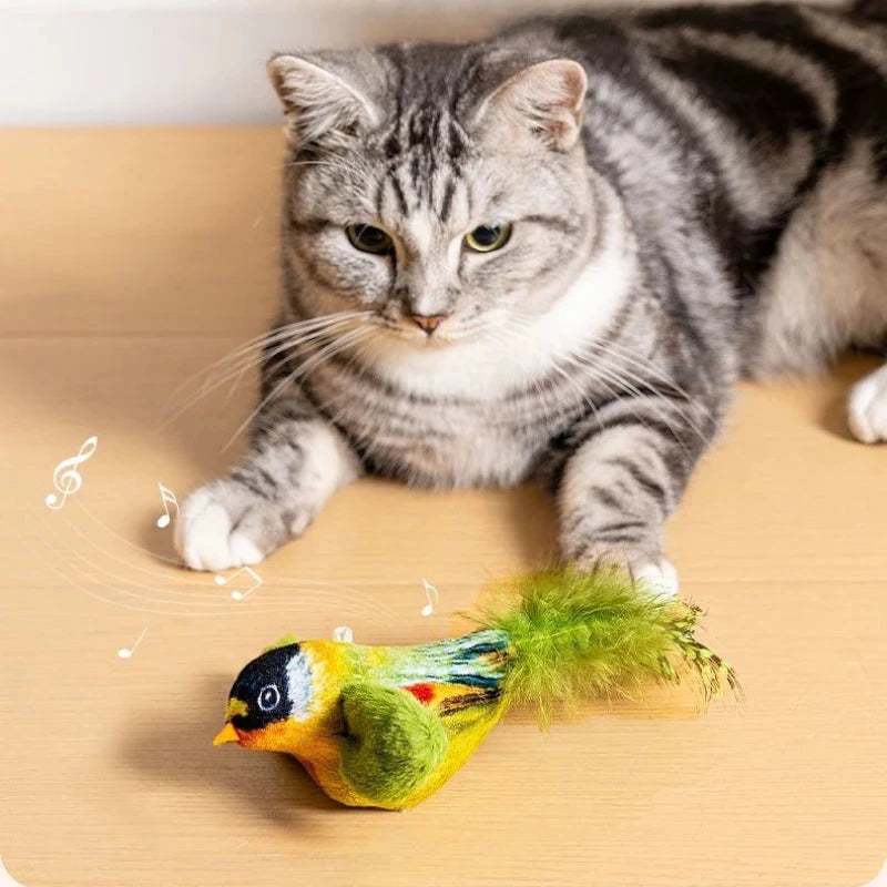 Indoor Interactive Birds Toy for Cat Chasing Teasing Toy Sounding Catnip Cat Teaser Toy Self-hilarity Wall Hanging Birds Cat Toy Econic Blanks