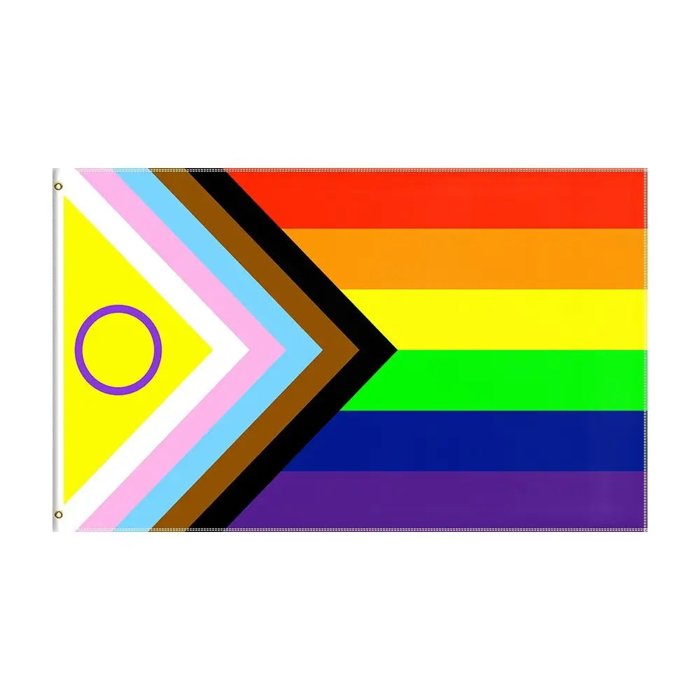 Progress Pride Rainbow Flag 2x3ft 3x5ft Polyester Intersex Inclusive LGBTQ+ Banner for Parade Ally Support Indoor Outdoor Decor Quick Pick Grocers