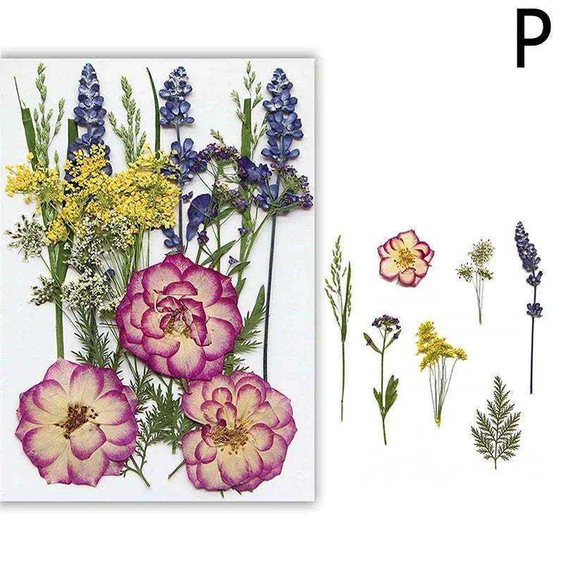 For Fun DIY Embossed Dried Flower Resin Fillings Real Flower for Home Decoration Nail Art Handicrafts Jewelry Making Crafts Econic Blanks