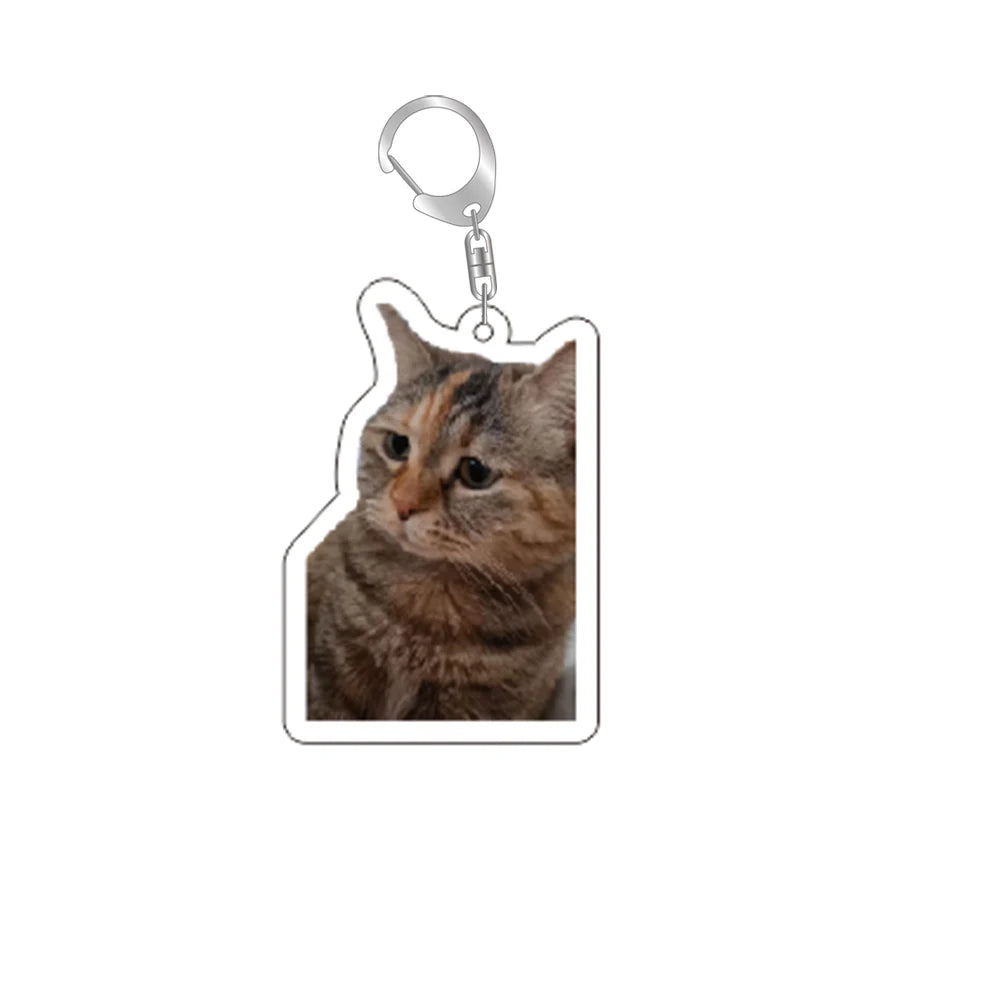 Funny Cat Memes Series Keychain Student Gift Bag Lanyard  Women's Bag Pendant Keychain Cute Things Cheap Gift For Best Friends Econic Blanks