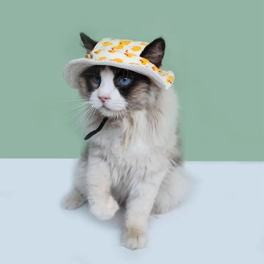 High-quality Adjustable Pet Sun Hat Cat Dog Breathable Dog Sunshade Hats Outdoor Travel Pet Fisherman Hat Quick Pick Grocers