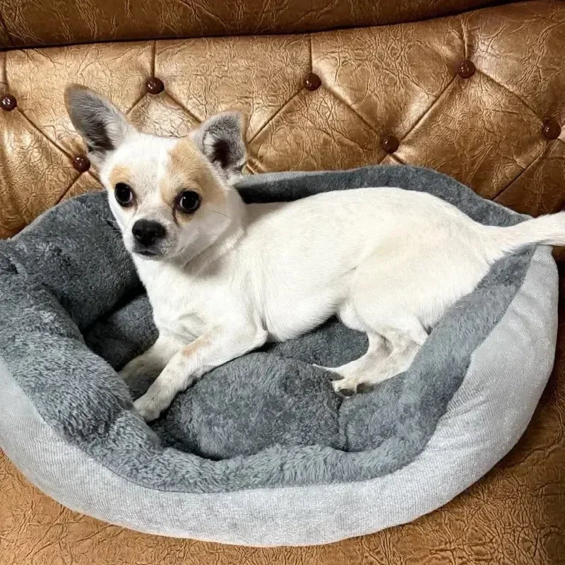Very Soft Warm Dog Bed Pets Basket Cat House Sofa for Medium Large Dog Sofa Bed Cushion Dog Bed House Pet Supplies Accessories Quick Pick Grocers