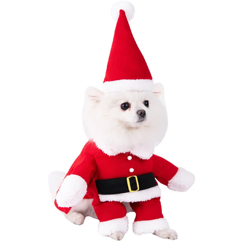 Halloween Dagger Pet Costume - Funny Knife-Holding Dog & Cat Standing Dress for Festival Dress-Up Econic Blanks