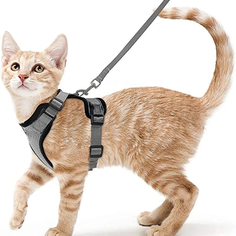 Cat Harness and Leash for Walking, Escape Proof Soft Adjustable Vest Harnesses for Cats, EasyControl Econic Blanks