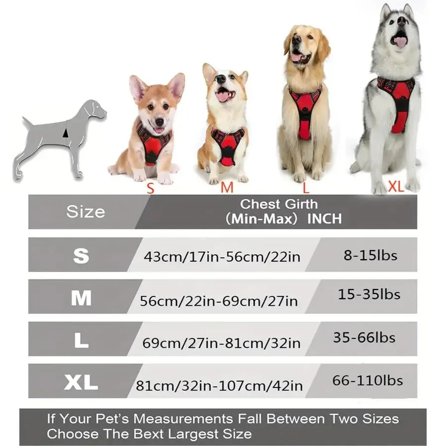 Dog Collars Harness Big Vests Leash Pet Shop Everything for Dogs Leather Puppy Accessories Medium Small Set Quick Pick Grocers