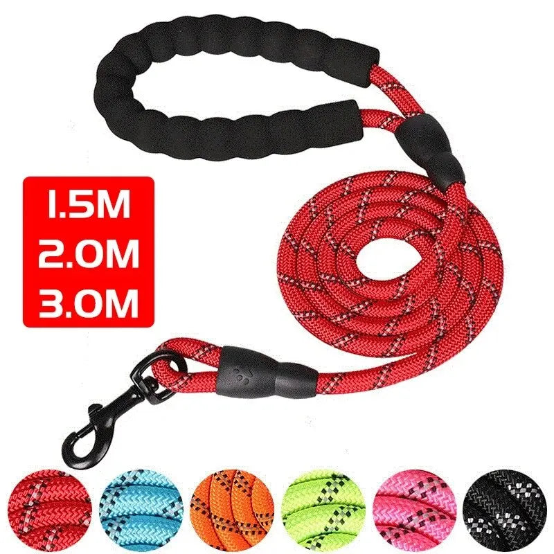 Reflective Dog Leash With Comfortable Padded Handle - Double Heavy Duty Traction Rope For Strong Dogs - Enhance Safety And Contr Econic Blanks