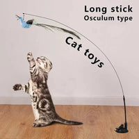 Simulation Bird Cat Toys Funny Interactive Peacock with Bell Cat Stick Toy for Kitten Playing Teaser Wand Toys Pet Cats Supplies Quick Pick Grocers