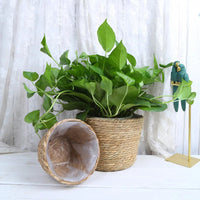 Straw Weaving Flower Plant Pot Basket Grass Planter Basket Indoor Outdoor Flower Pot Cover Plant Containers for Plantable Plants Quick Pick Grocers
