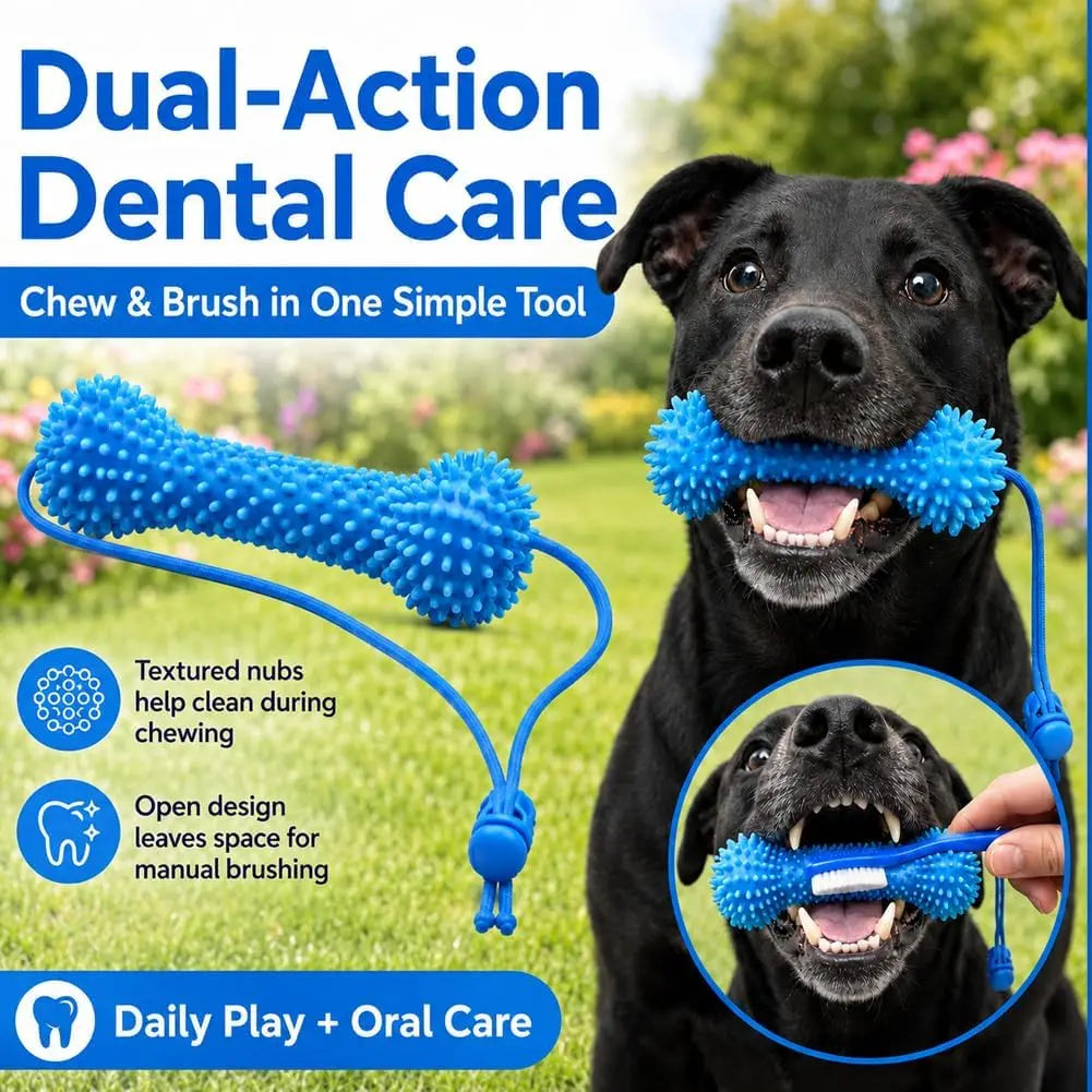 Dual-Action Canine Dental Prop, Dog Dental Chew Toy for Teeth Cleaning Brushing, Reusable Dental Chews for Dogs Quick Pick Grocers