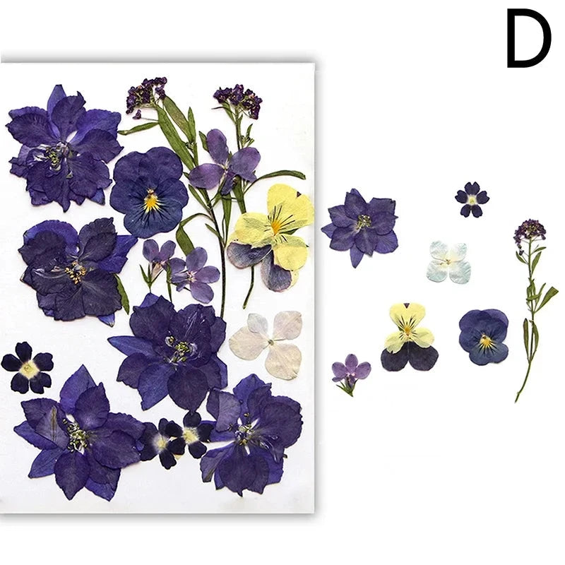 For Fun DIY Embossed Dried Flower Resin Fillings Real Flower for Home Decoration Nail Art Handicrafts Jewelry Making Crafts Econic Blanks