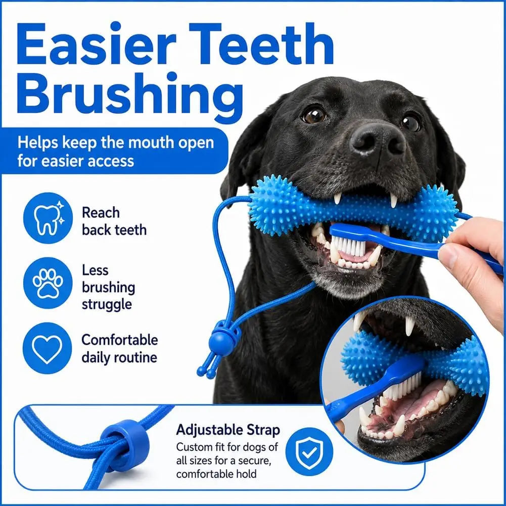 Dual-Action Canine Dental Prop, Dog Dental Chew Toy for Teeth Cleaning Brushing, Reusable Dental Chews for Dogs Quick Pick Grocers