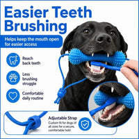 Dual-Action Canine Dental Prop, Dog Dental Chew Toy for Teeth Cleaning Brushing, Reusable Dental Chews for Dogs Quick Pick Grocers