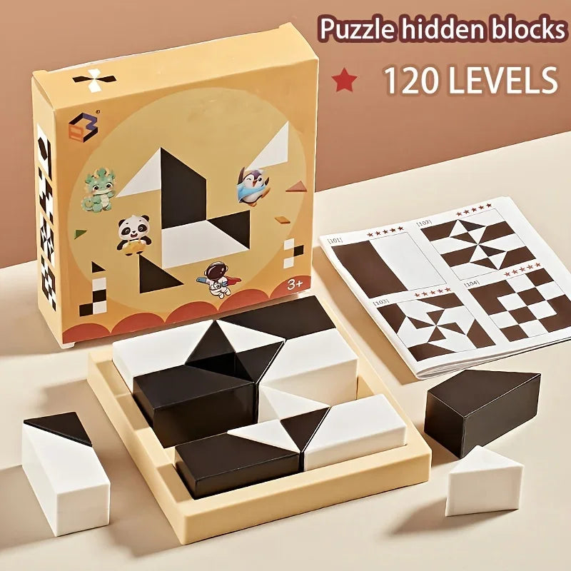 120 Level Hidden Block Puzzle 6 Years ABS Material Interesting Enhances Logic and Spatial Reasoning Suitable for 6Year Olds Econic Blanks
