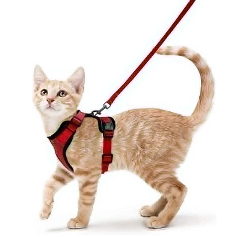 Cat Harness and Leash for Walking, Escape Proof Soft Adjustable Vest Harnesses for Cats, EasyControl Econic Blanks