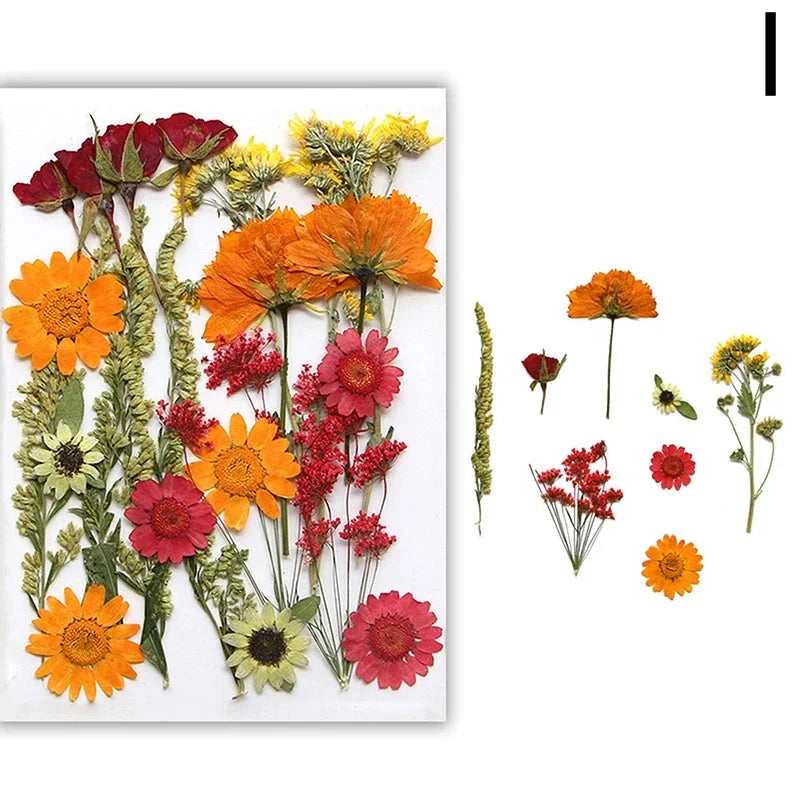 For Fun DIY Embossed Dried Flower Resin Fillings Real Flower for Home Decoration Nail Art Handicrafts Jewelry Making Crafts Econic Blanks