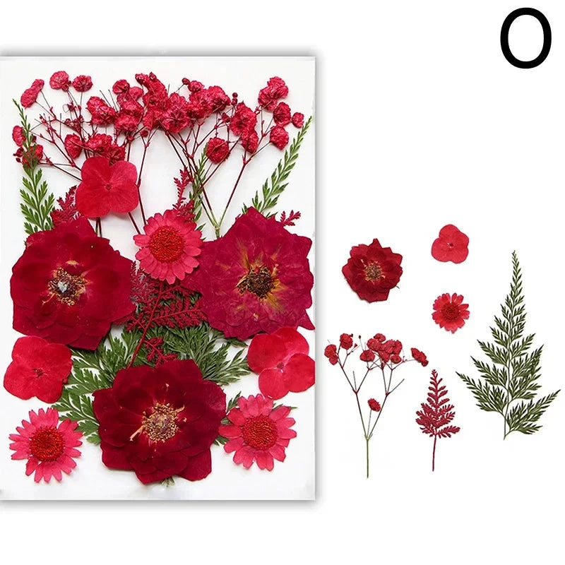 For Fun DIY Embossed Dried Flower Resin Fillings Real Flower for Home Decoration Nail Art Handicrafts Jewelry Making Crafts Econic Blanks