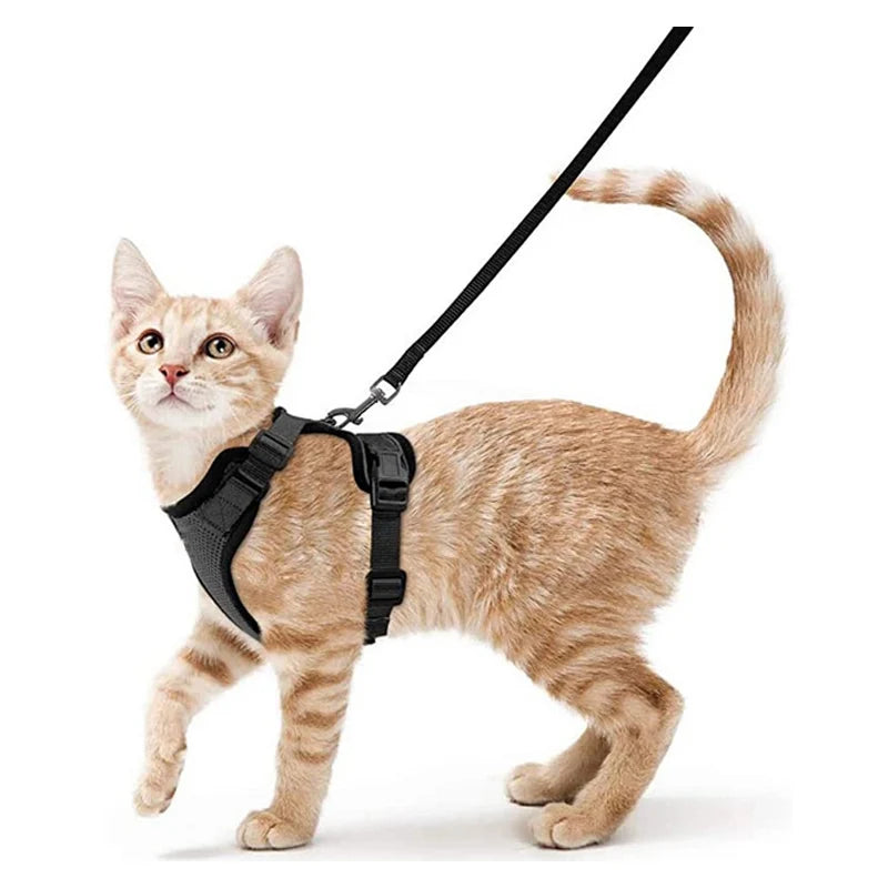 Cat Harness and Leash for Walking, Escape Proof Soft Adjustable Vest Harnesses for Cats, EasyControl Econic Blanks