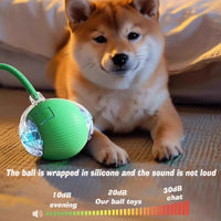 New Dog Interactive Ball Toy,Automatic Rolling Dog Ball Rechargeable,Smart Puppy Interactive Toy,Intelligent Balls Toy for Dogs Quick Pick Grocers