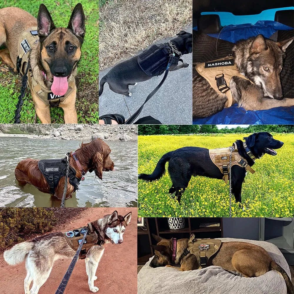 Military Large Dog Harness Training Pet Vest for French Bulldog German Shepherd Malinois Tactical Harnesses For Dogs Accessories Quick Pick Grocers