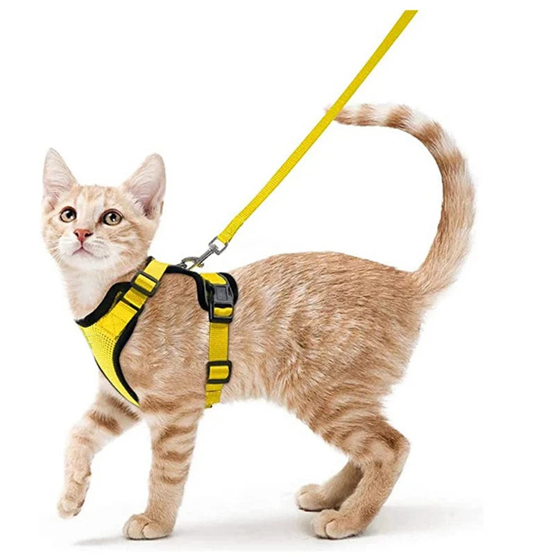 Cat Harness and Leash for Walking, Escape Proof Soft Adjustable Vest Harnesses for Cats, EasyControl Econic Blanks