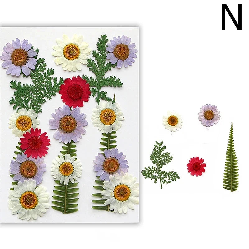 For Fun DIY Embossed Dried Flower Resin Fillings Real Flower for Home Decoration Nail Art Handicrafts Jewelry Making Crafts Econic Blanks