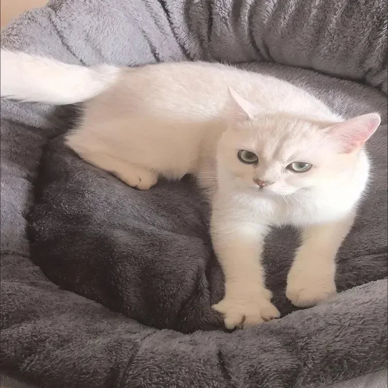 Very Soft Warm Dog Bed Pets Basket Cat House Sofa for Medium Large Dog Sofa Bed Cushion Dog Bed House Pet Supplies Accessories Quick Pick Grocers