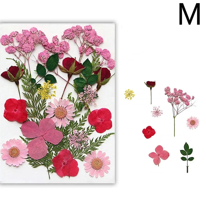 For Fun DIY Embossed Dried Flower Resin Fillings Real Flower for Home Decoration Nail Art Handicrafts Jewelry Making Crafts Econic Blanks