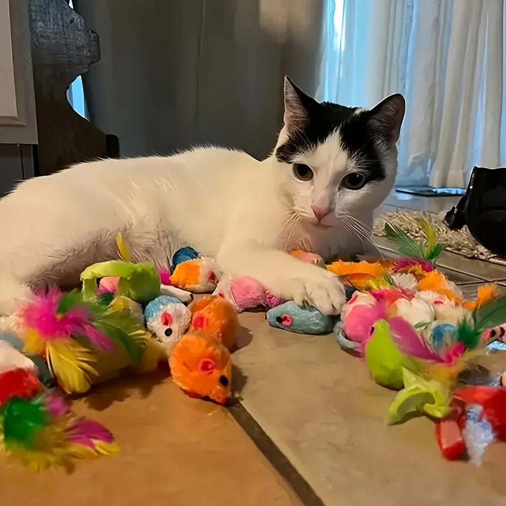 56pcs/28pcs/14pcs Cat Toys Mixed Pack. A Combination of Various Plastic Toys and Plush Toys Suitable for Multiple Cats To Play Quick Pick Grocers