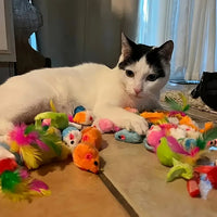 56pcs/28pcs/14pcs Cat Toys Mixed Pack. A Combination of Various Plastic Toys and Plush Toys Suitable for Multiple Cats To Play Quick Pick Grocers